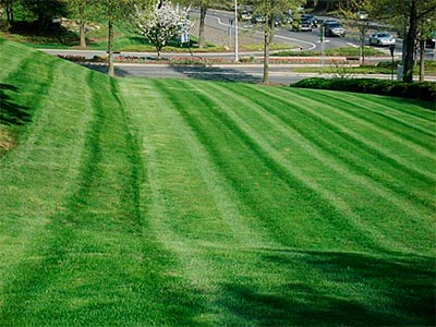 Landscaping