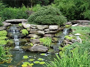 Water Features